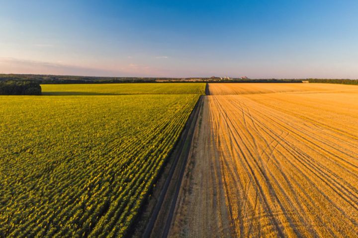 Biological Crop Protection